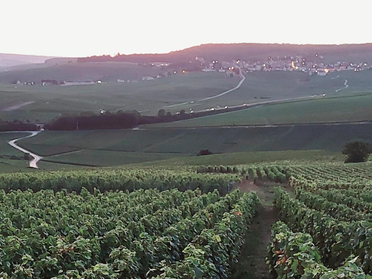 Epernay Capital De Champagne Épernay Exterior foto